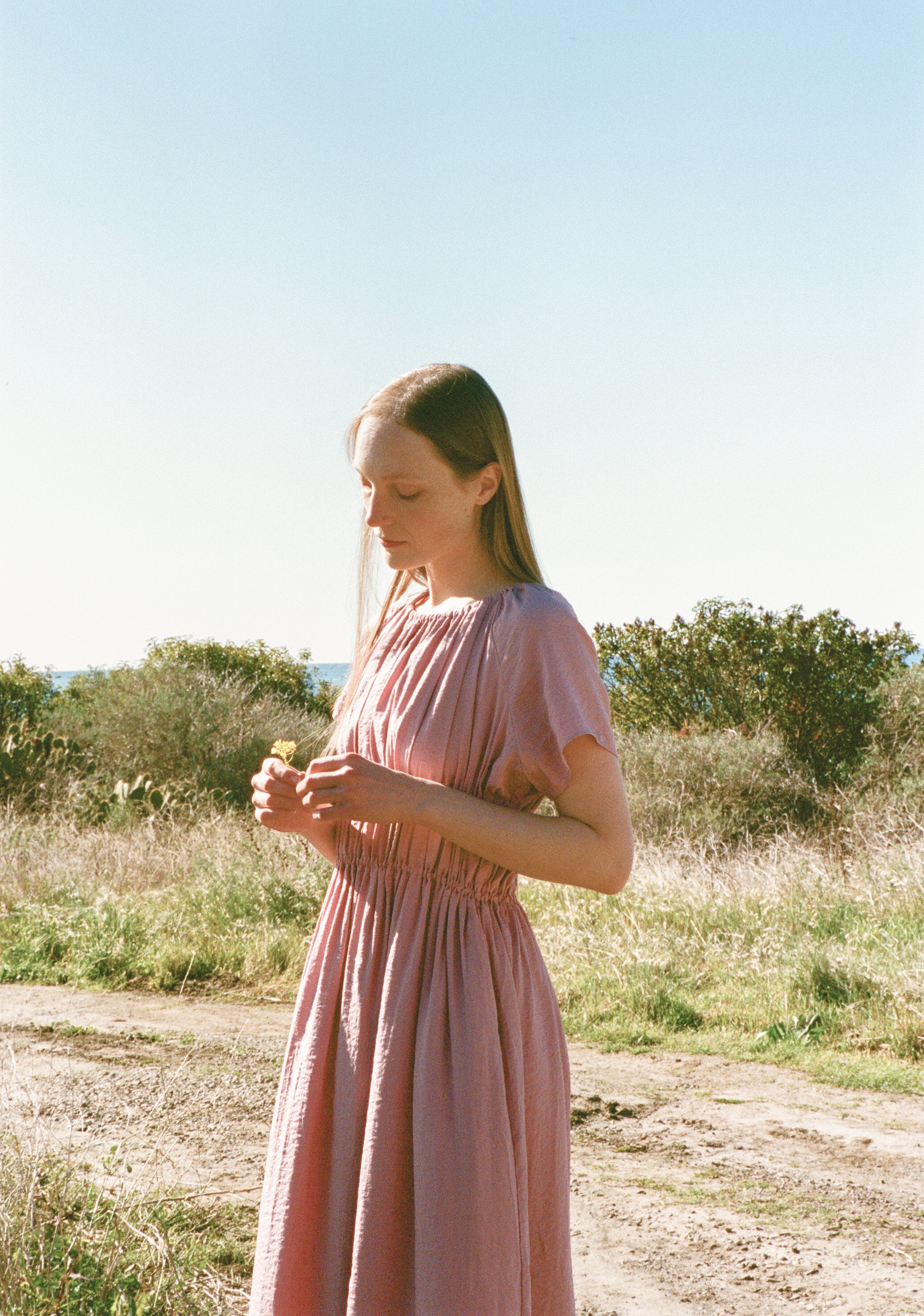 Ruched Waist Dress in Tea Rose