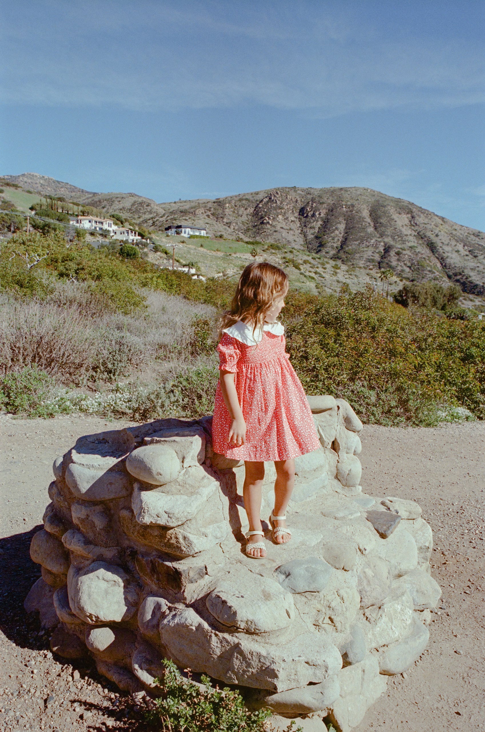 Mini Peter Pan Collar Dress in Red Bloom