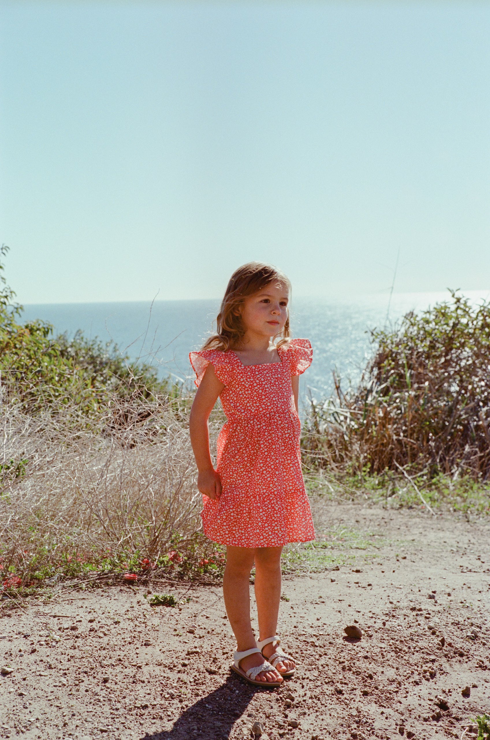 Mini Frilled Sleeve Tiered Dress in Red Bloom