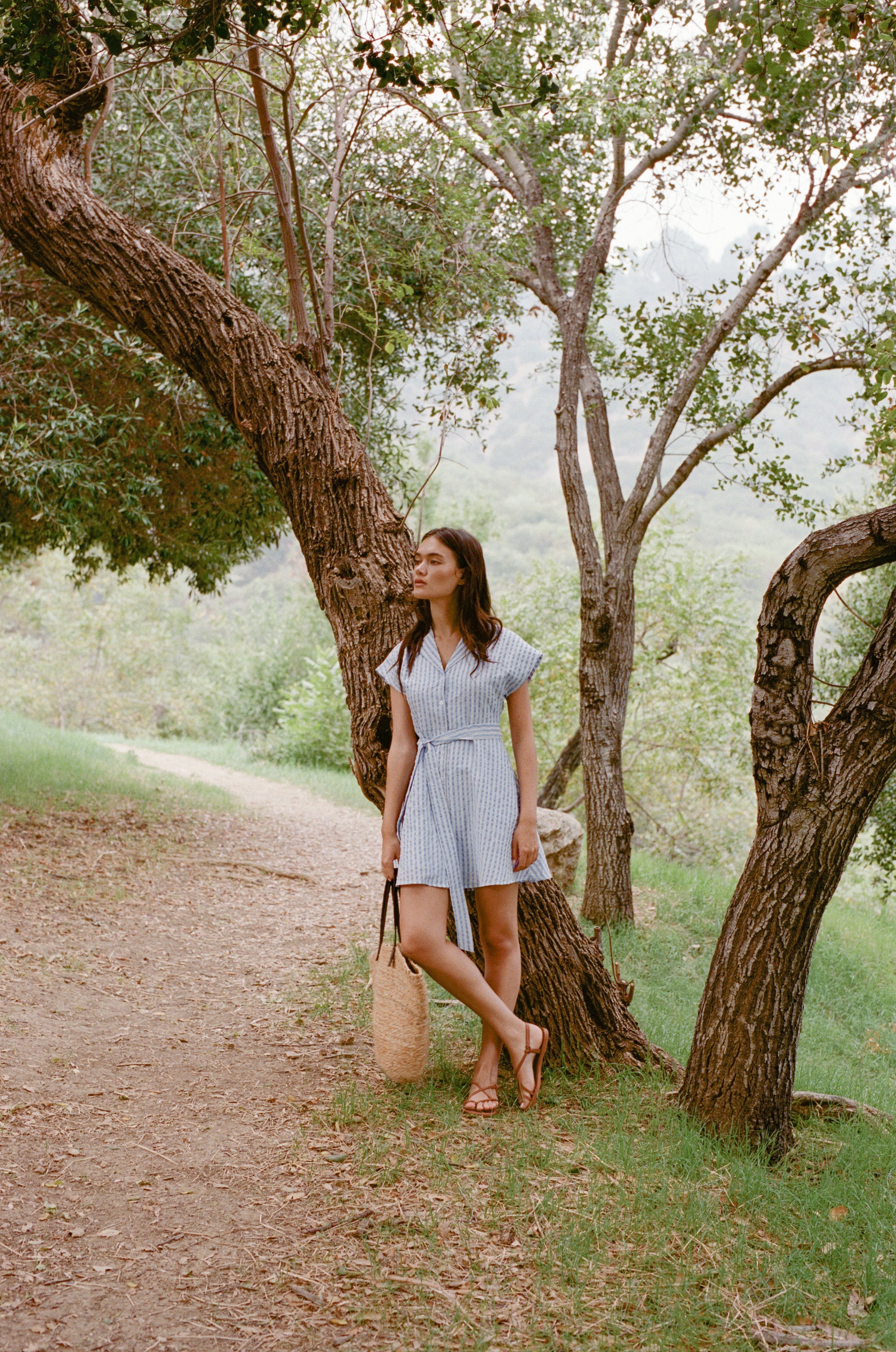 Linen Collared Mini Dress in Stripe Blue