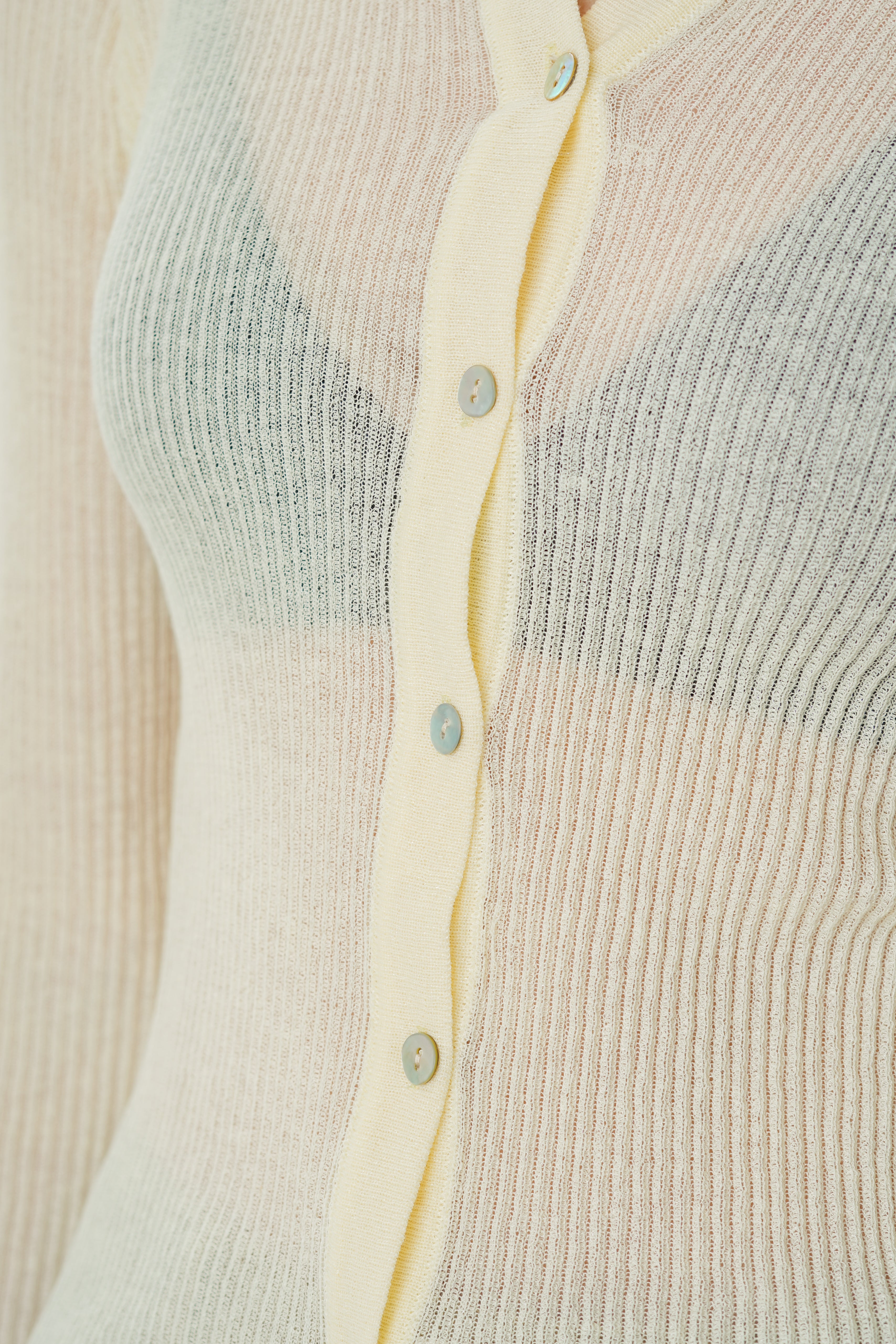 Fitted Sheer Knit Collared Top in Souffle