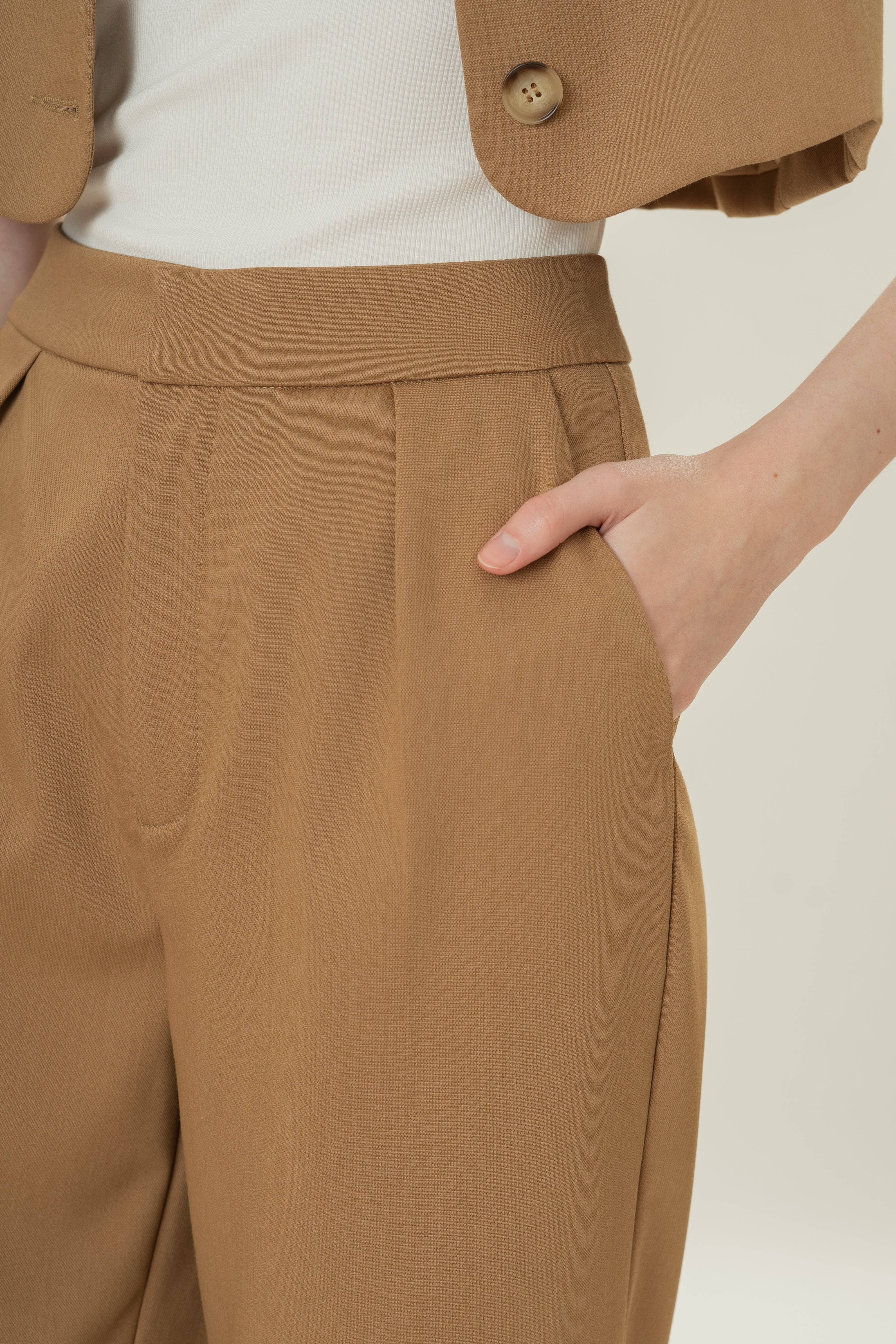 Petite Suiting Pleated Trousers in Camel