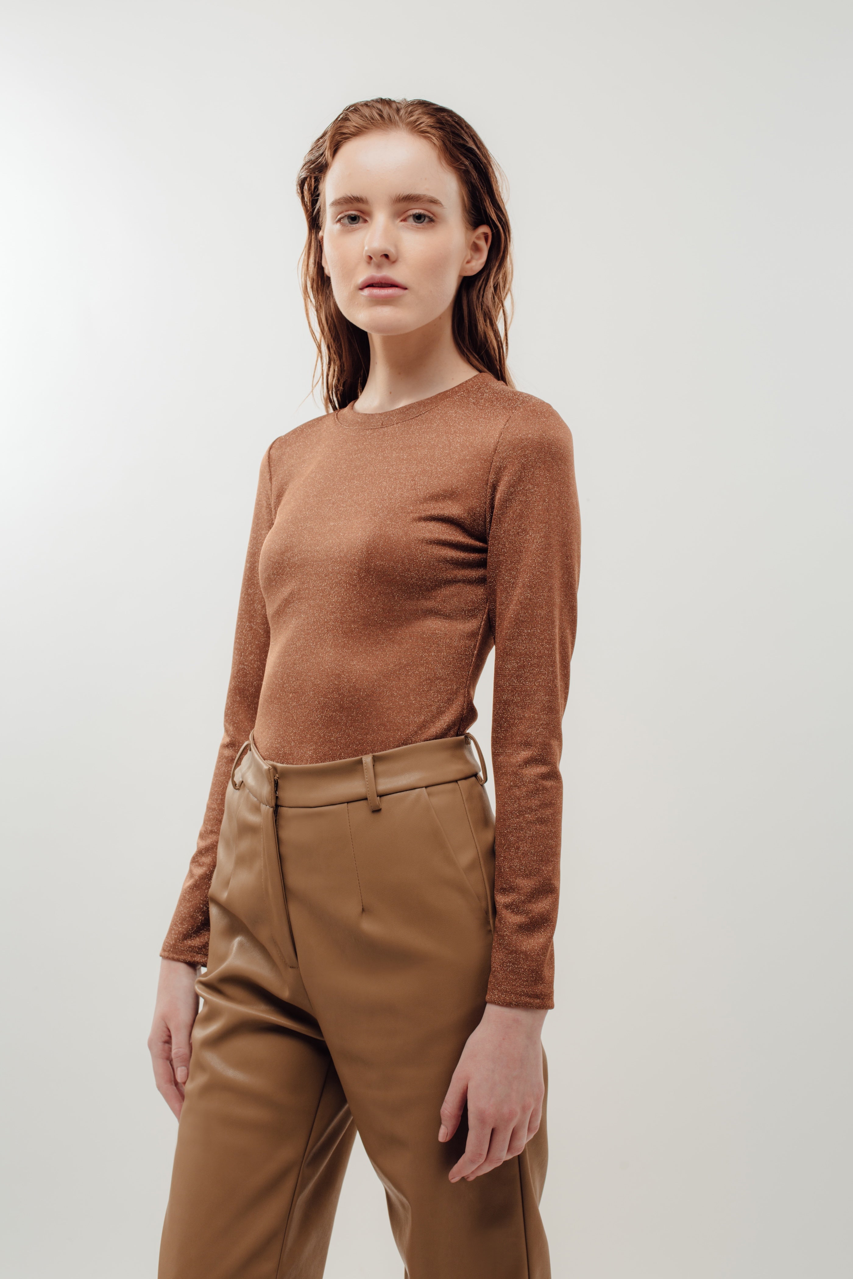 Fitted Long Sleeve Shirt in Shimmer Brown (Sale)