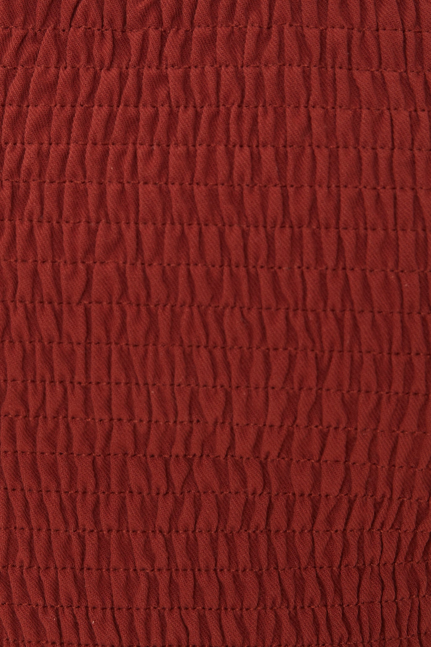 Puffed Sleeved Shirred Cropped Top in Sienna