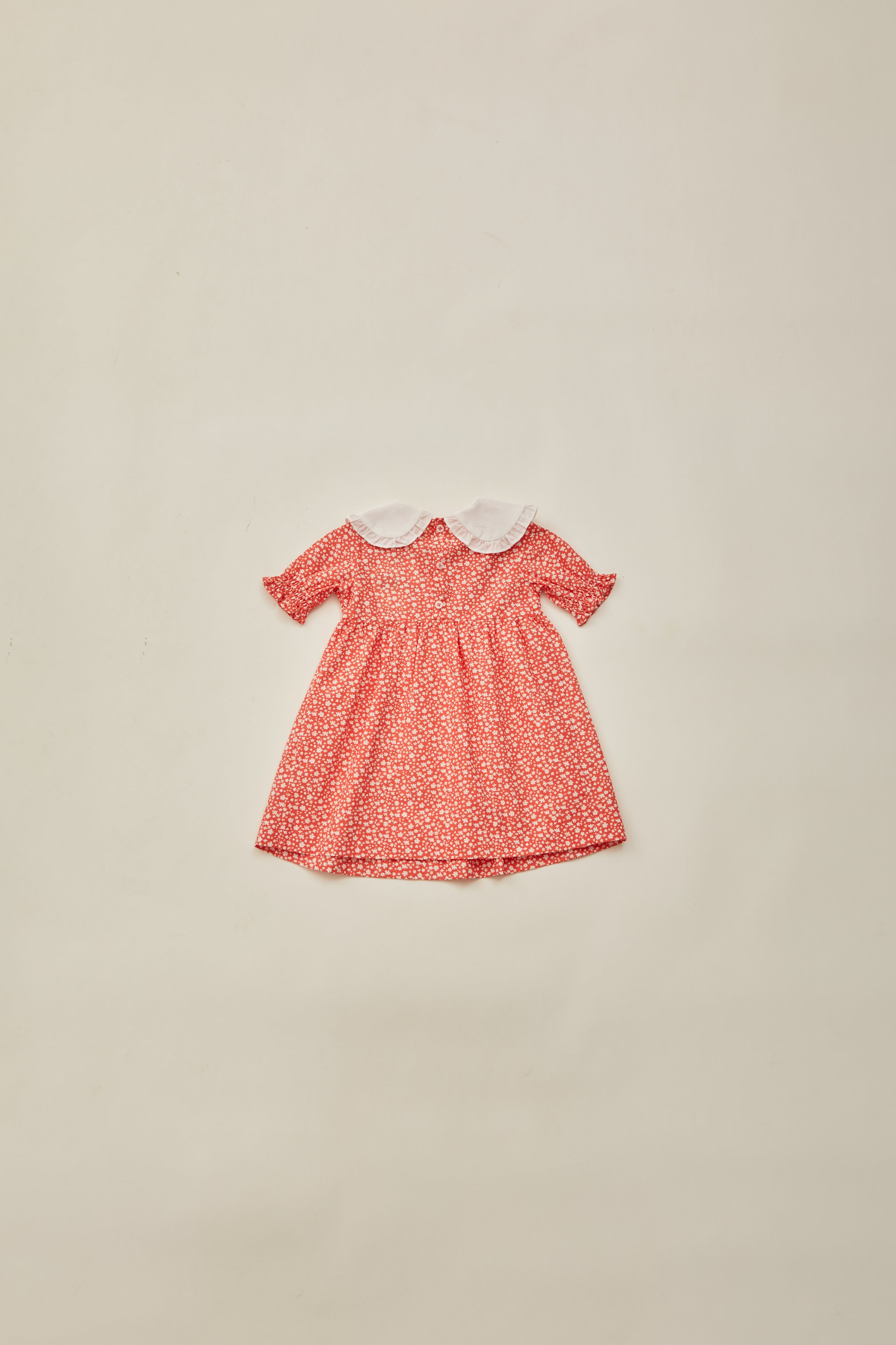 Mini Peter Pan Collar Dress in Red Bloom