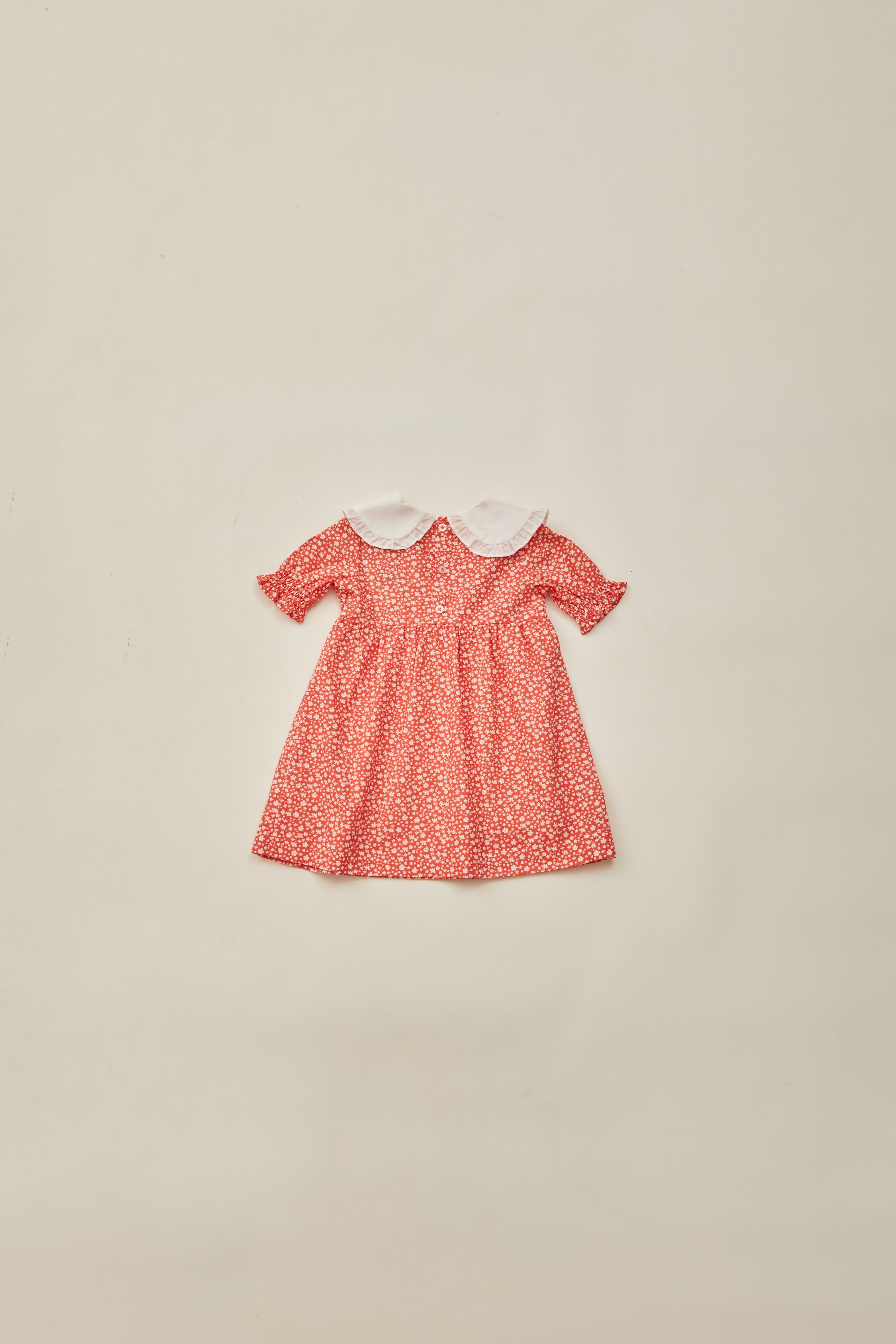 Mini Peter Pan Collar Dress in Red Bloom