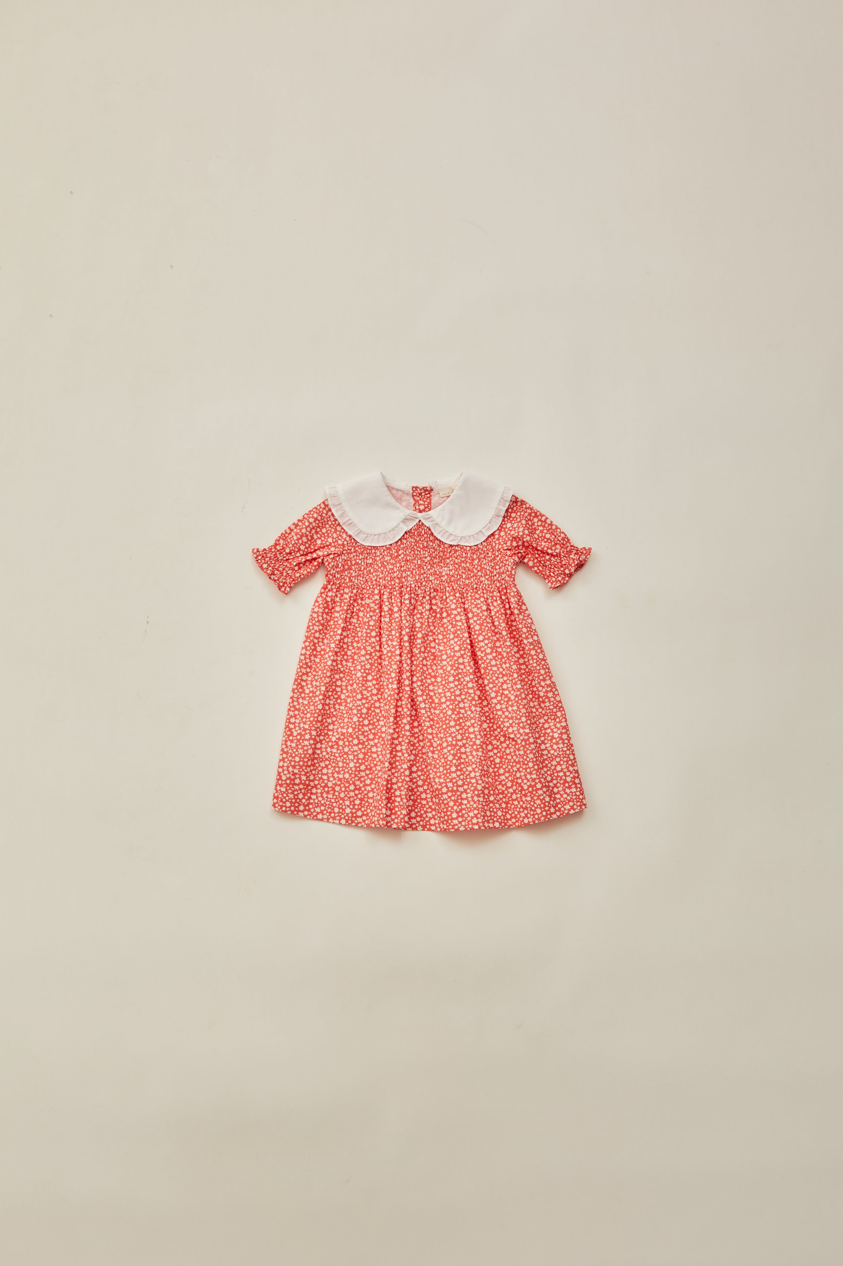 Mini Peter Pan Collar Dress in Red Bloom