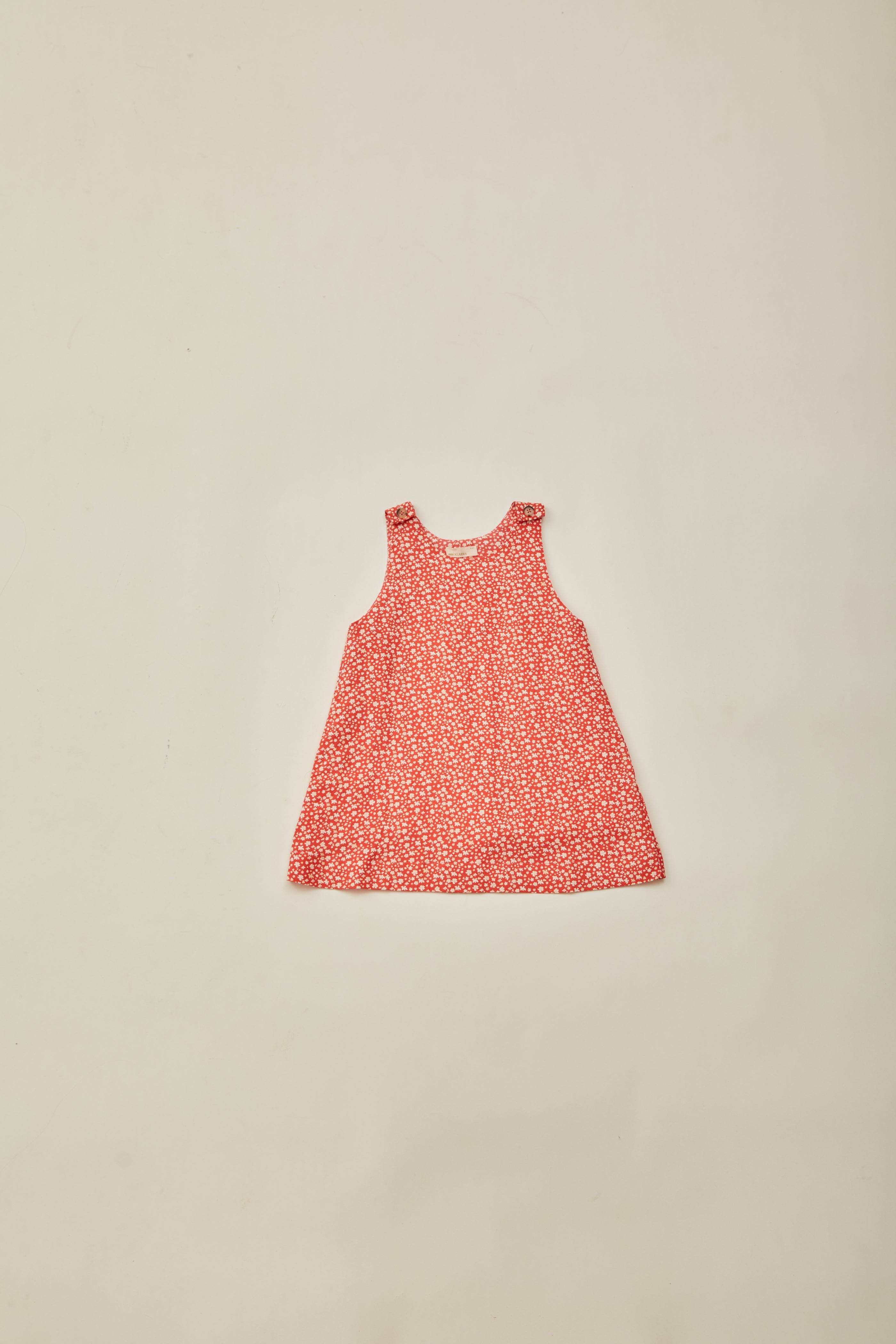 Mini Sleeveless A-Line Dress in Red Bloom