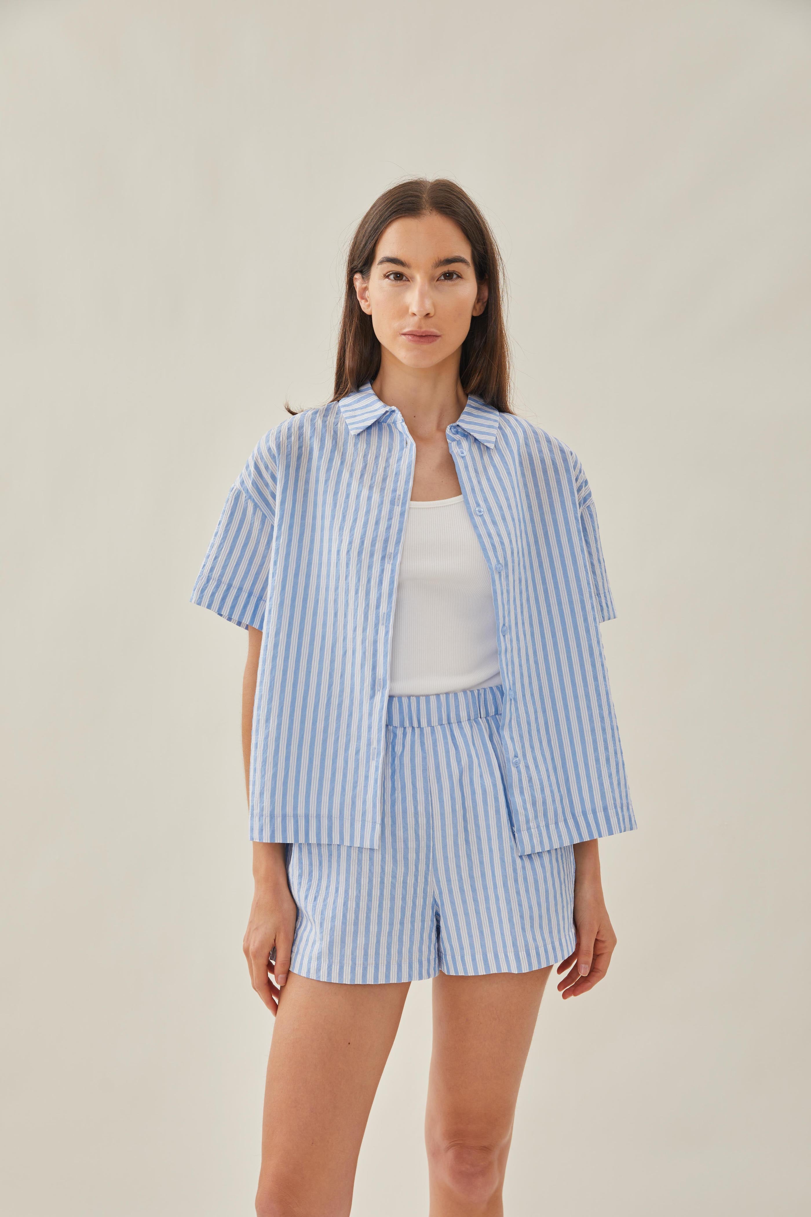 Collared Shirt in Stripe Blue