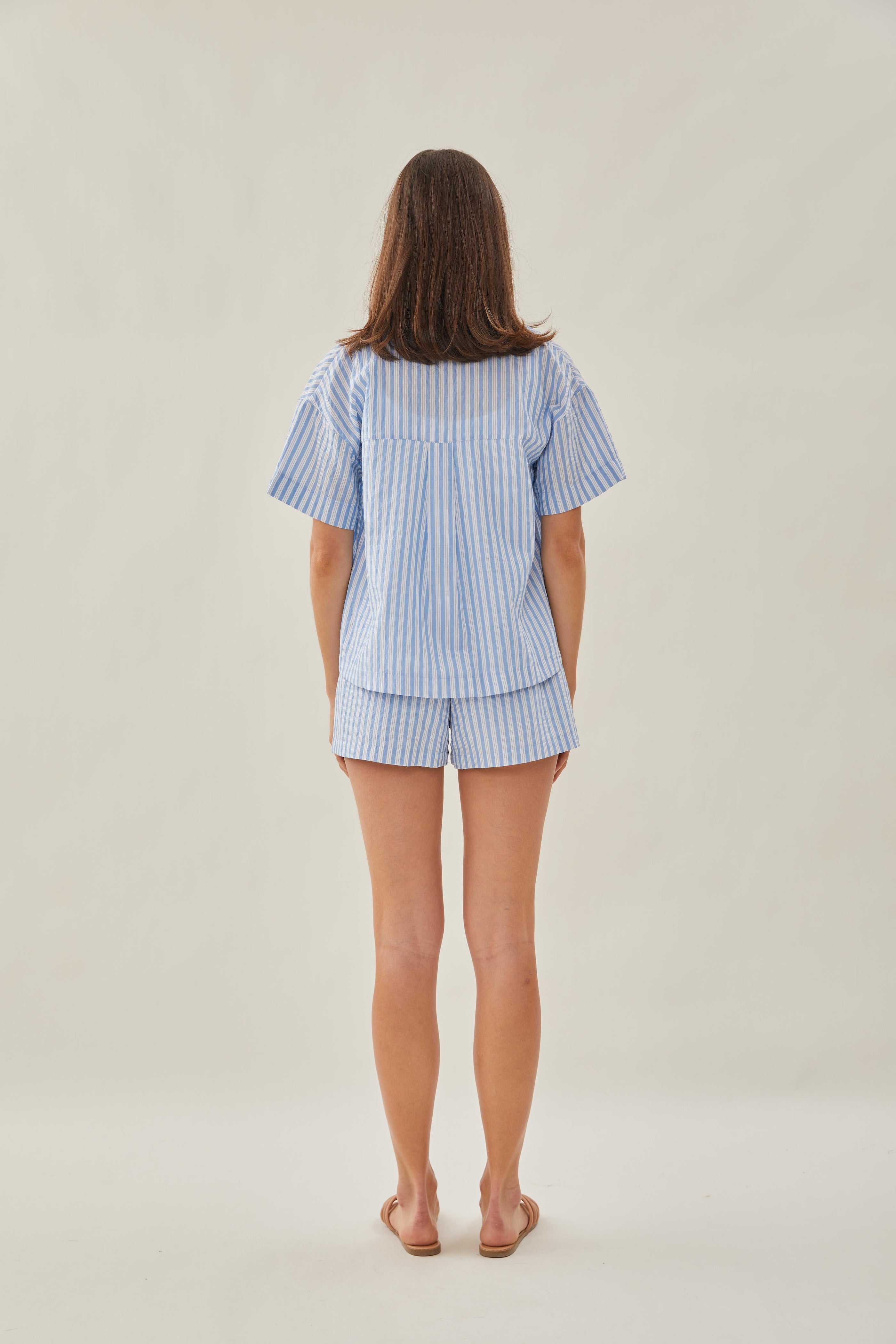 Collared Shirt in Stripe Blue