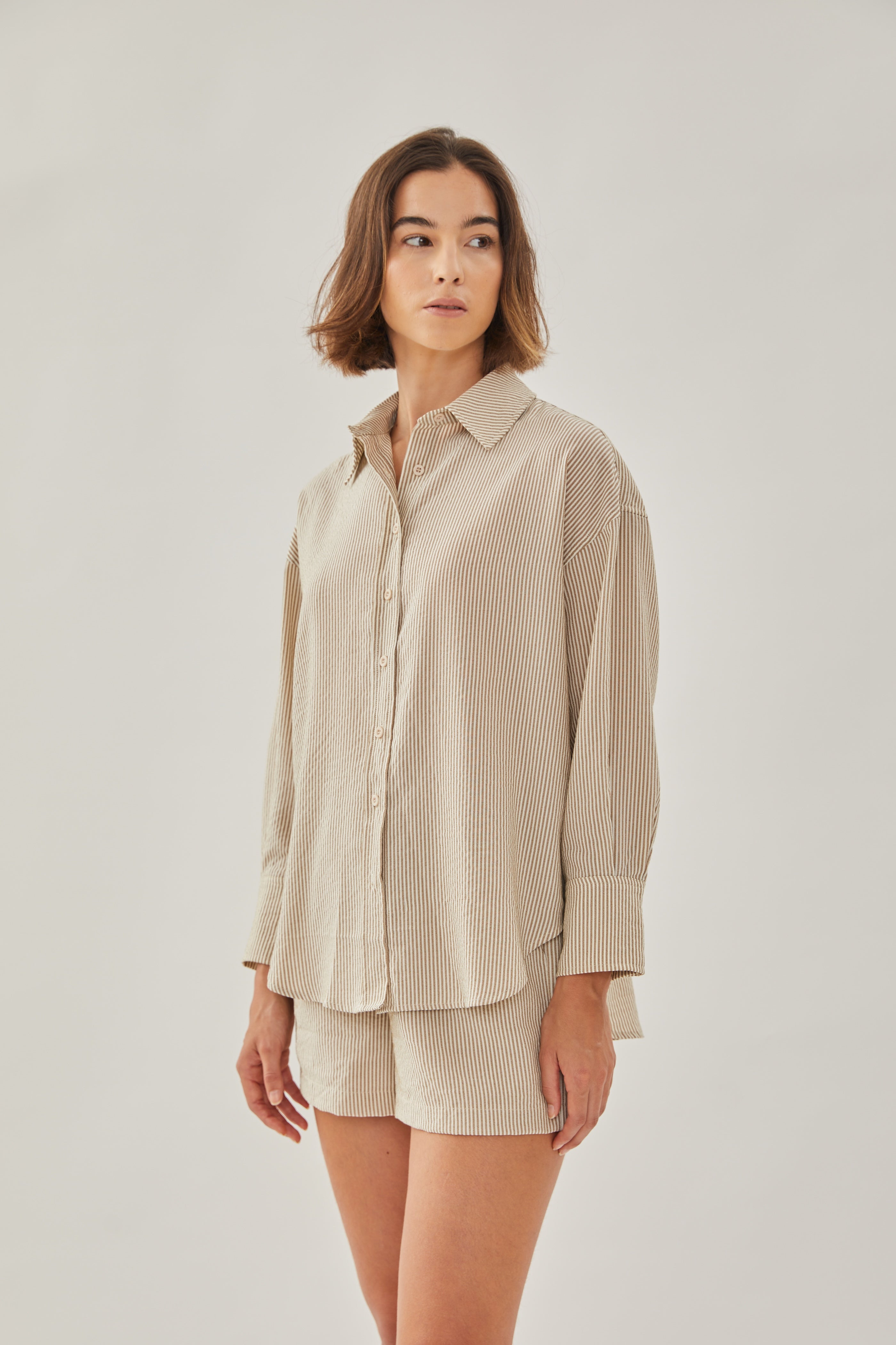 Buttondown Shirt in Stripe Brown