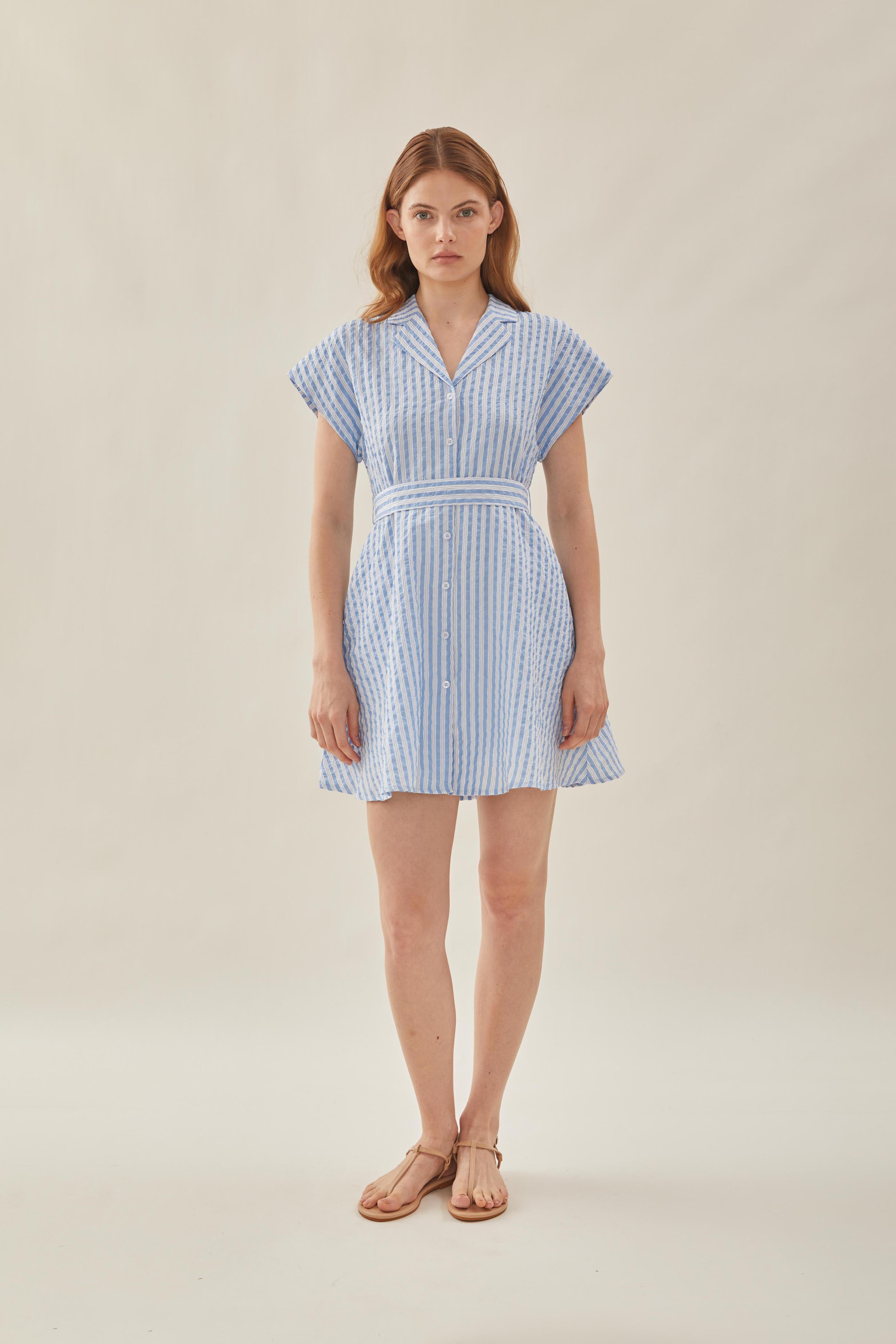 Linen Collared Mini Dress in Stripe Blue