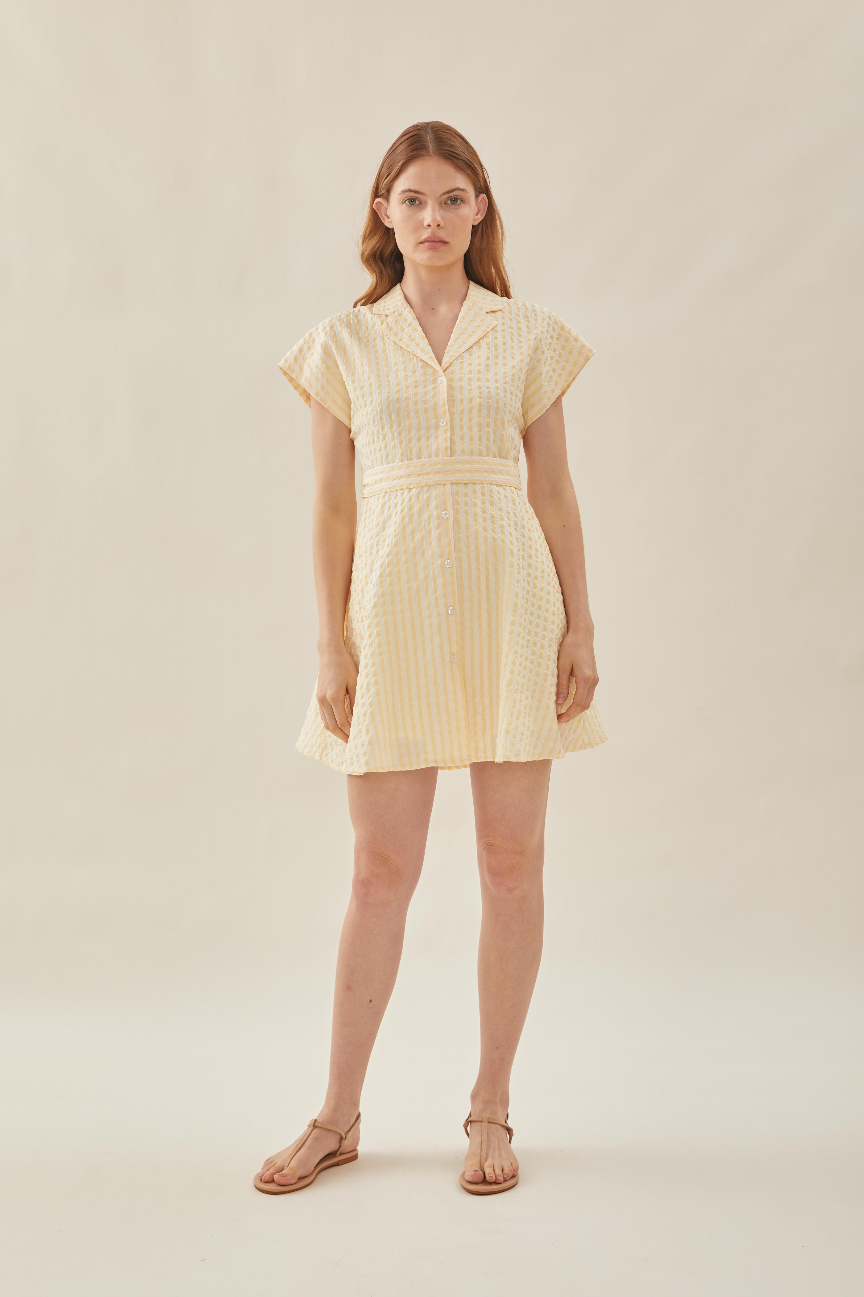 Linen Collared Mini Dress in Stripe Yellow