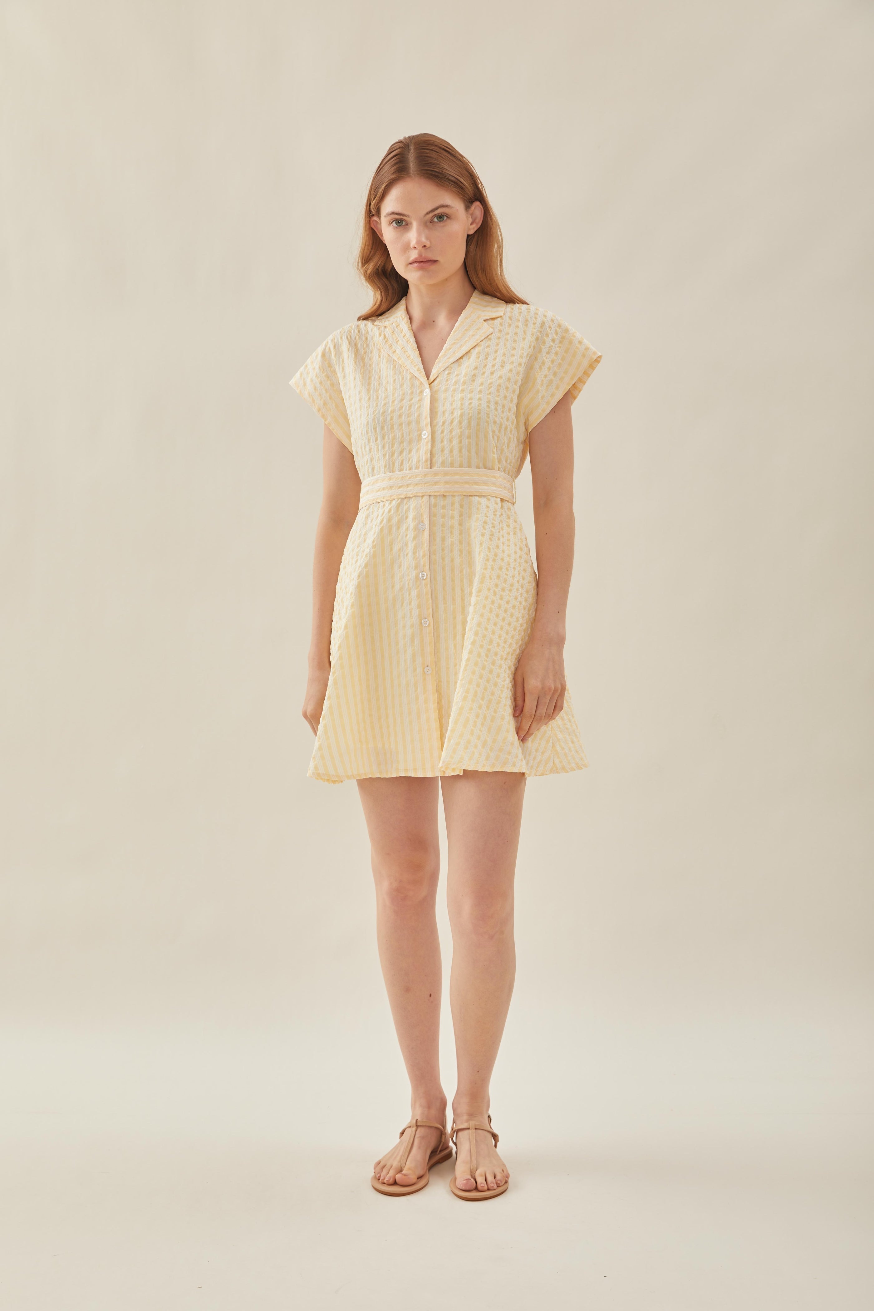 Linen Collared Mini Dress in Stripe Yellow
