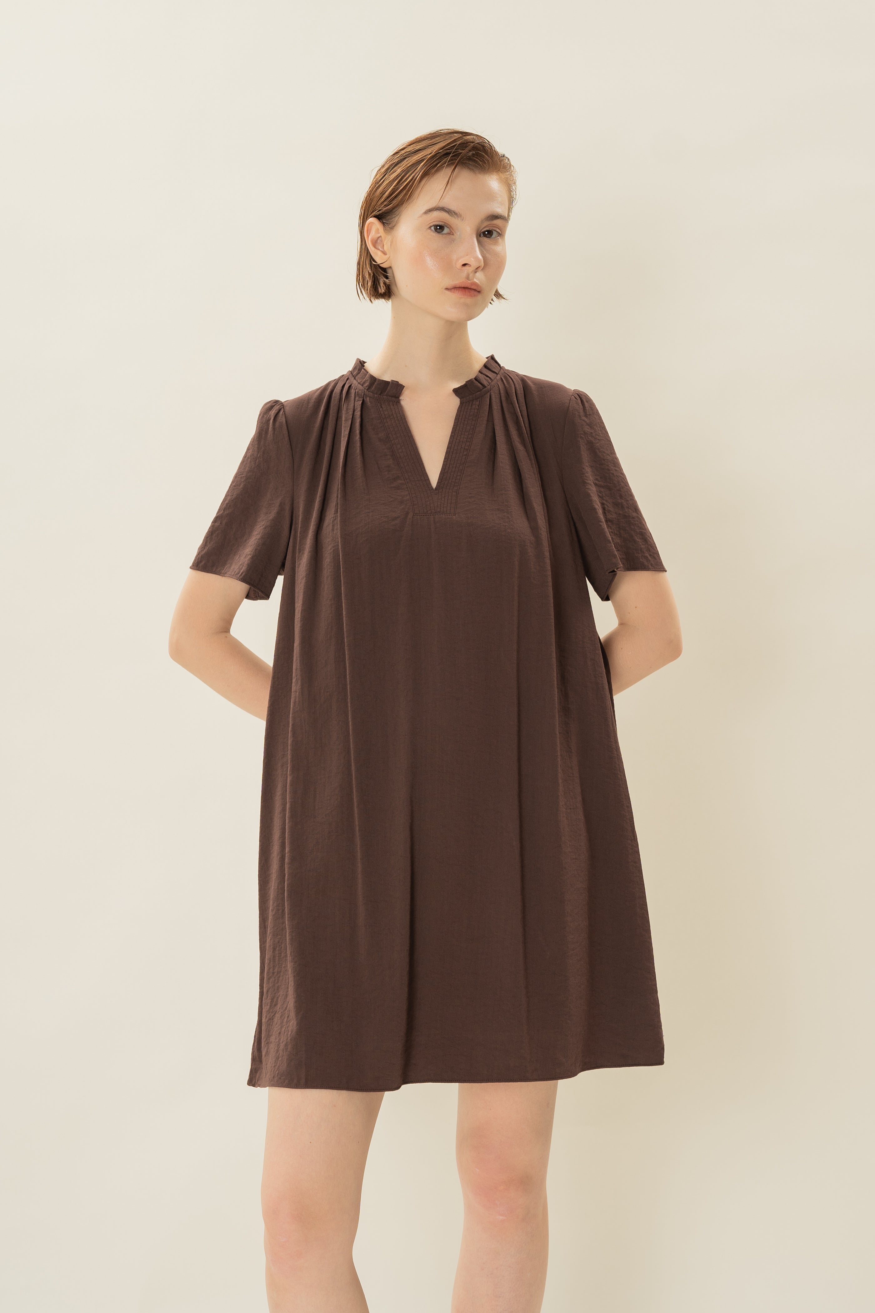 Pleated V Neck Dress in Soil