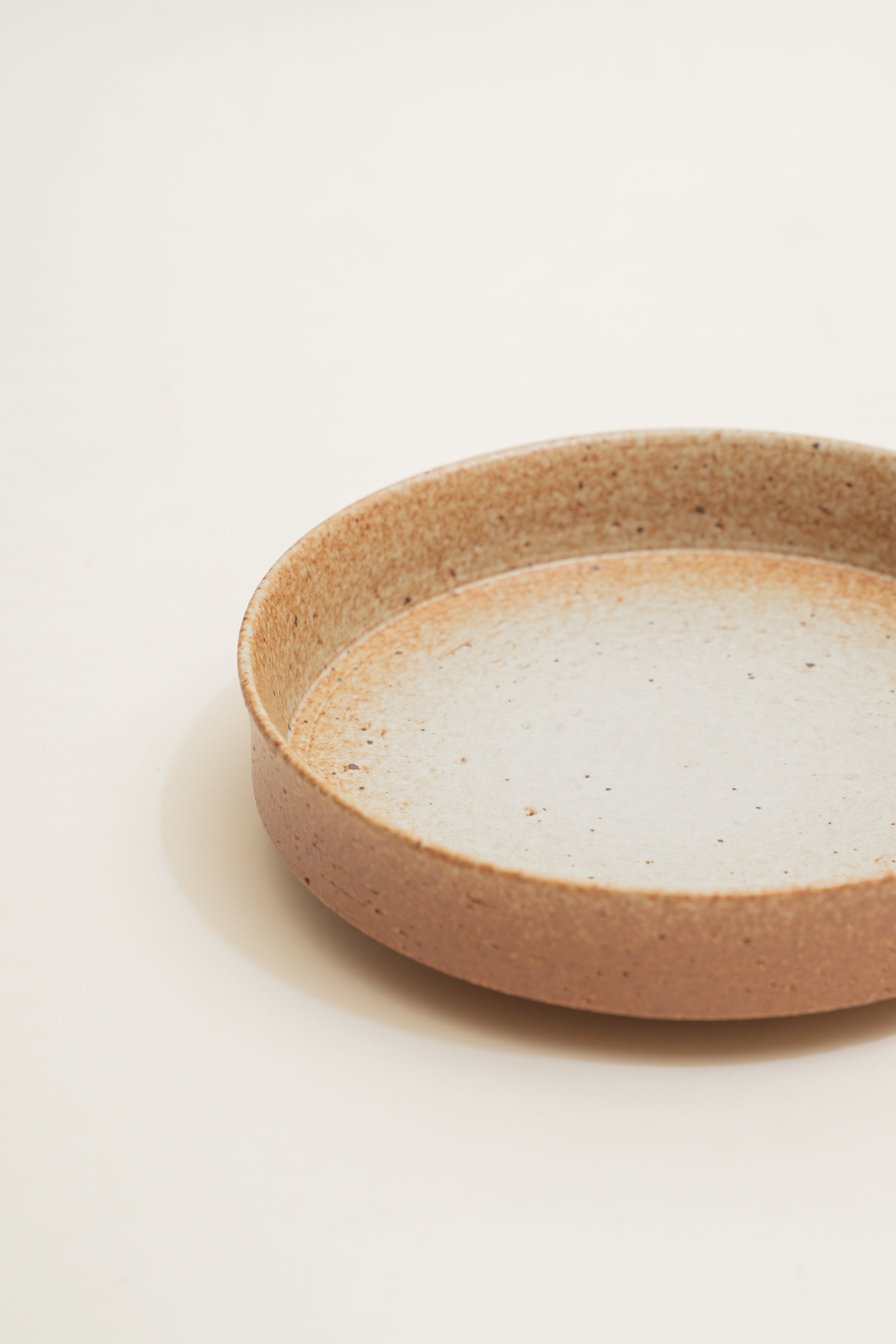 Earthenware Dinner Plate in Warm Stone
