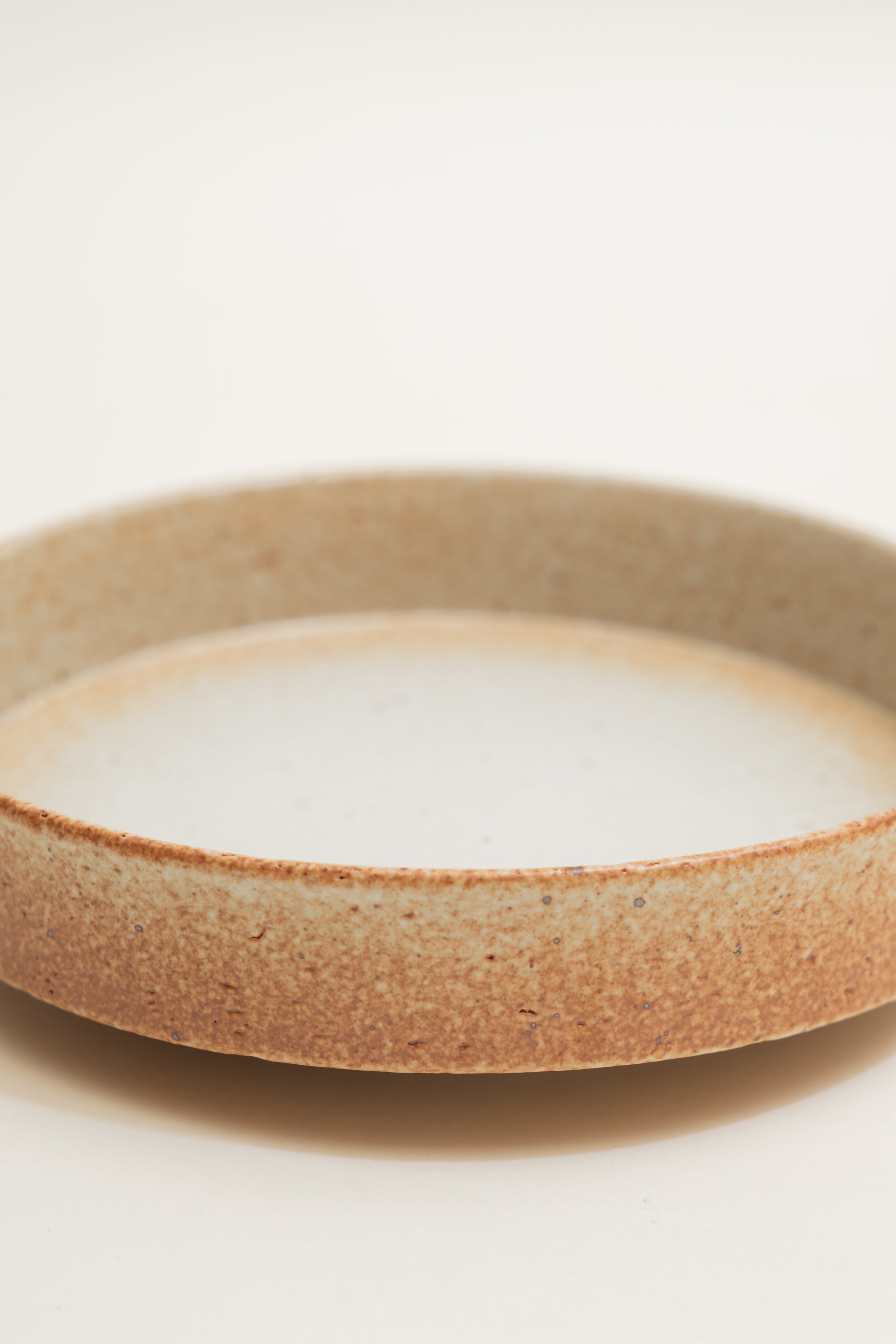 Earthenware Dinner Plate in Warm Stone