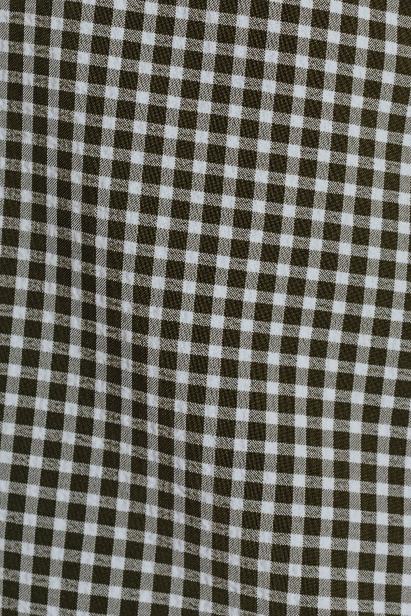 Gingham Shorts in Olive