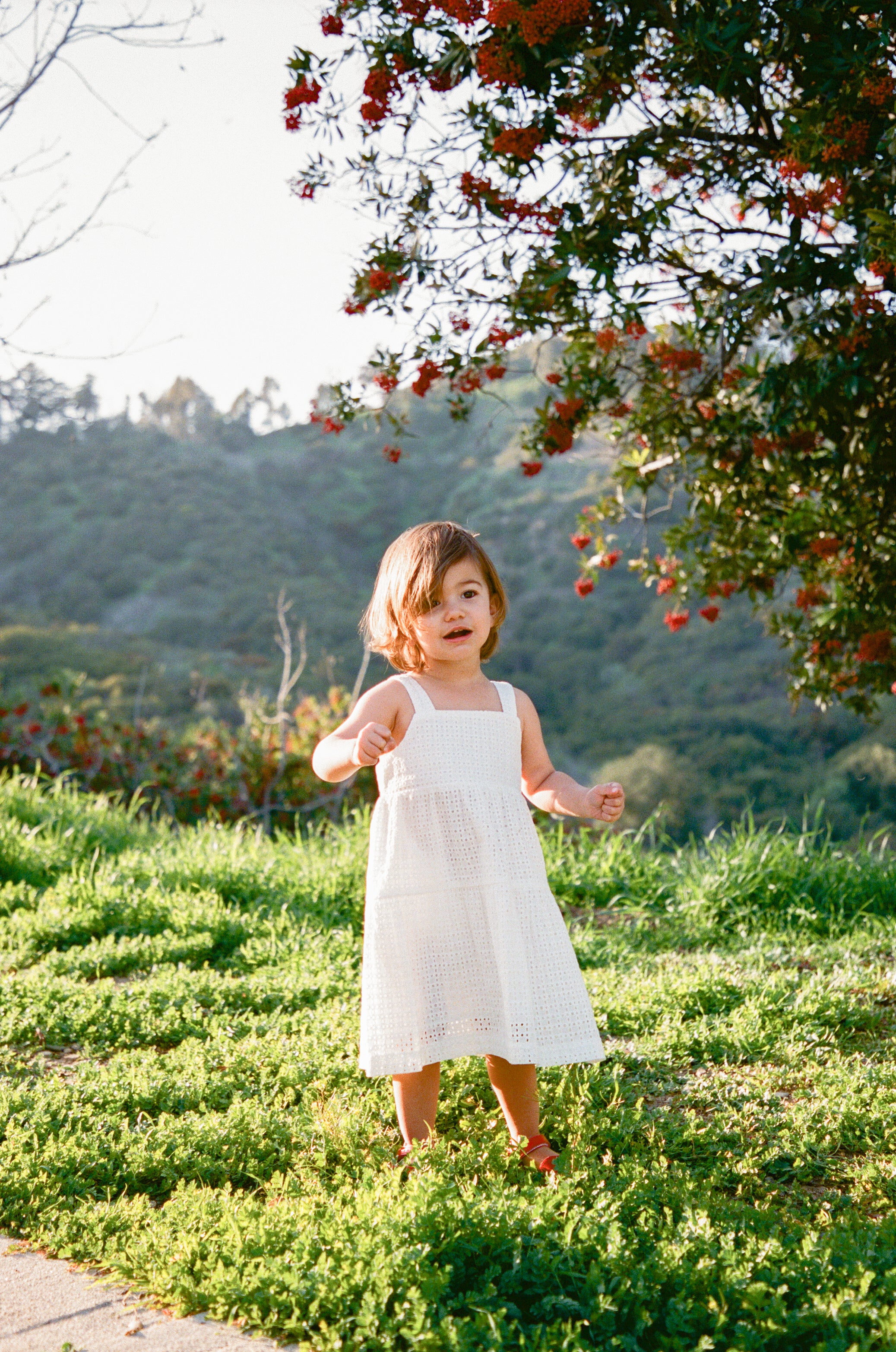 Mini Tiered Dress in Maha Crochet