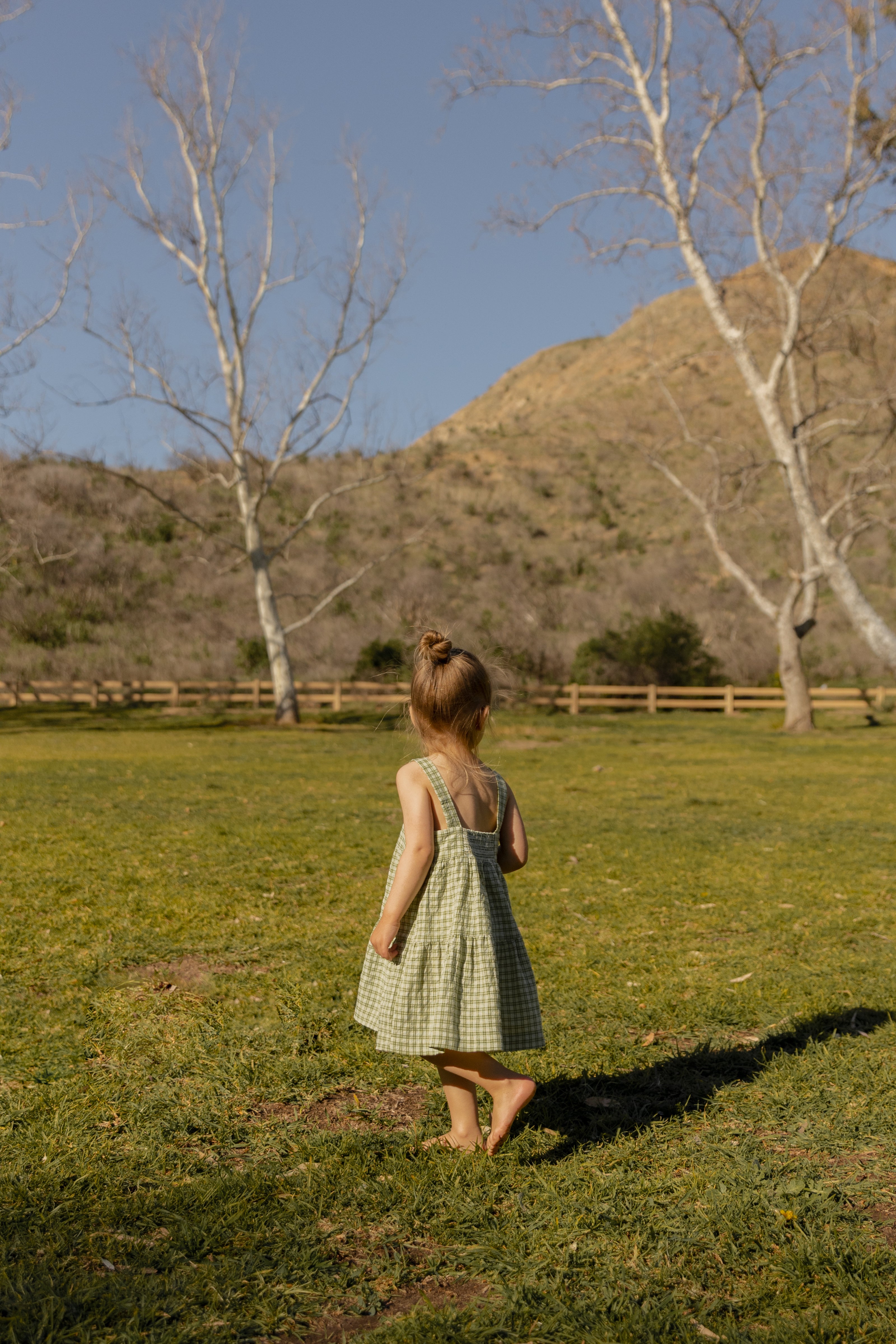 Mini Tiered Dress in Gingham Fern