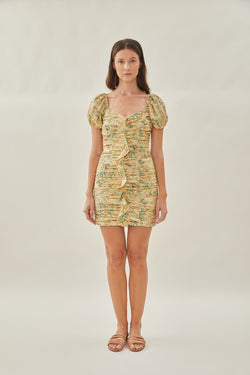 Ruched Mini Dress with Ruffles in Canary