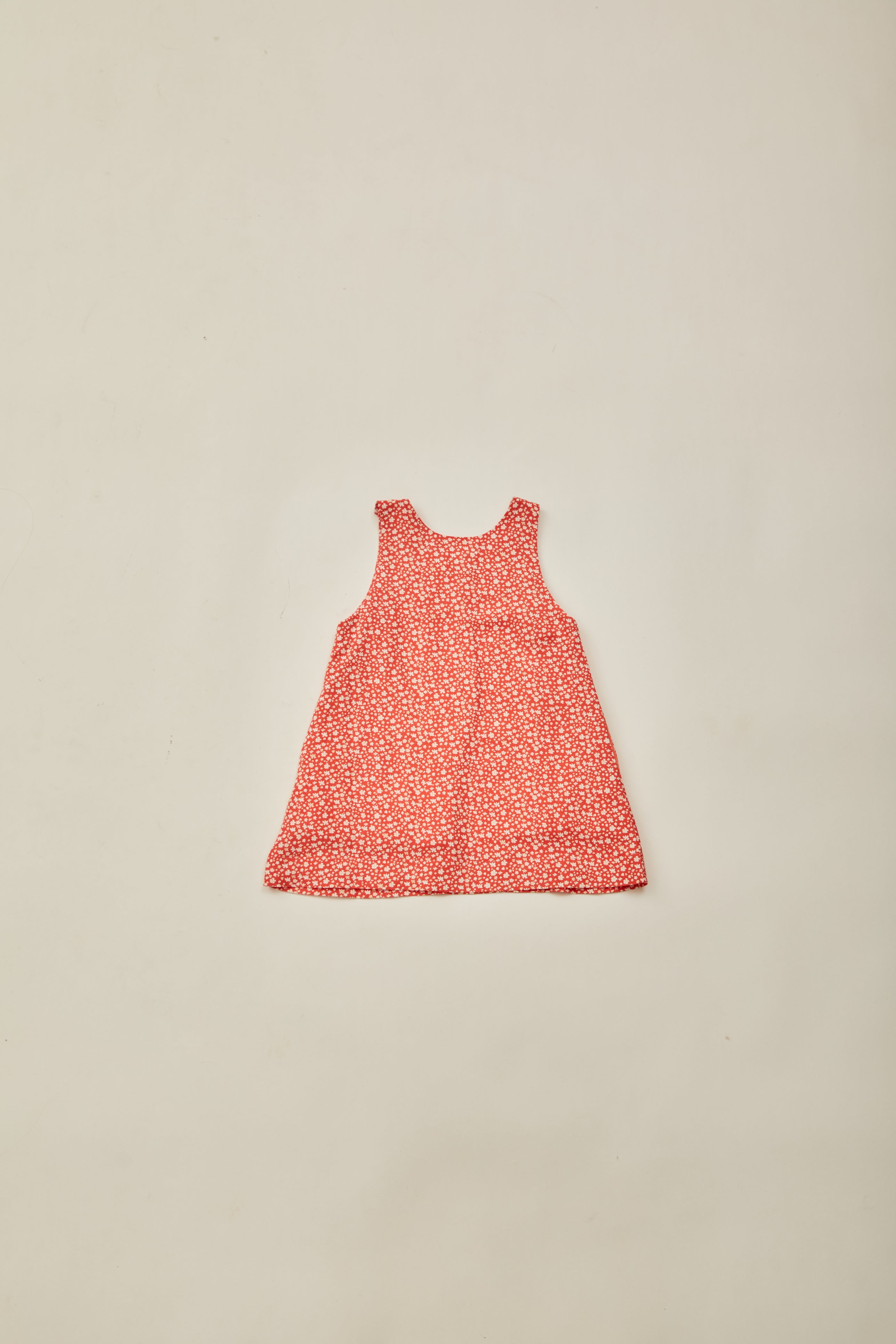 Mini Sleeveless A-Line Dress in Red Bloom