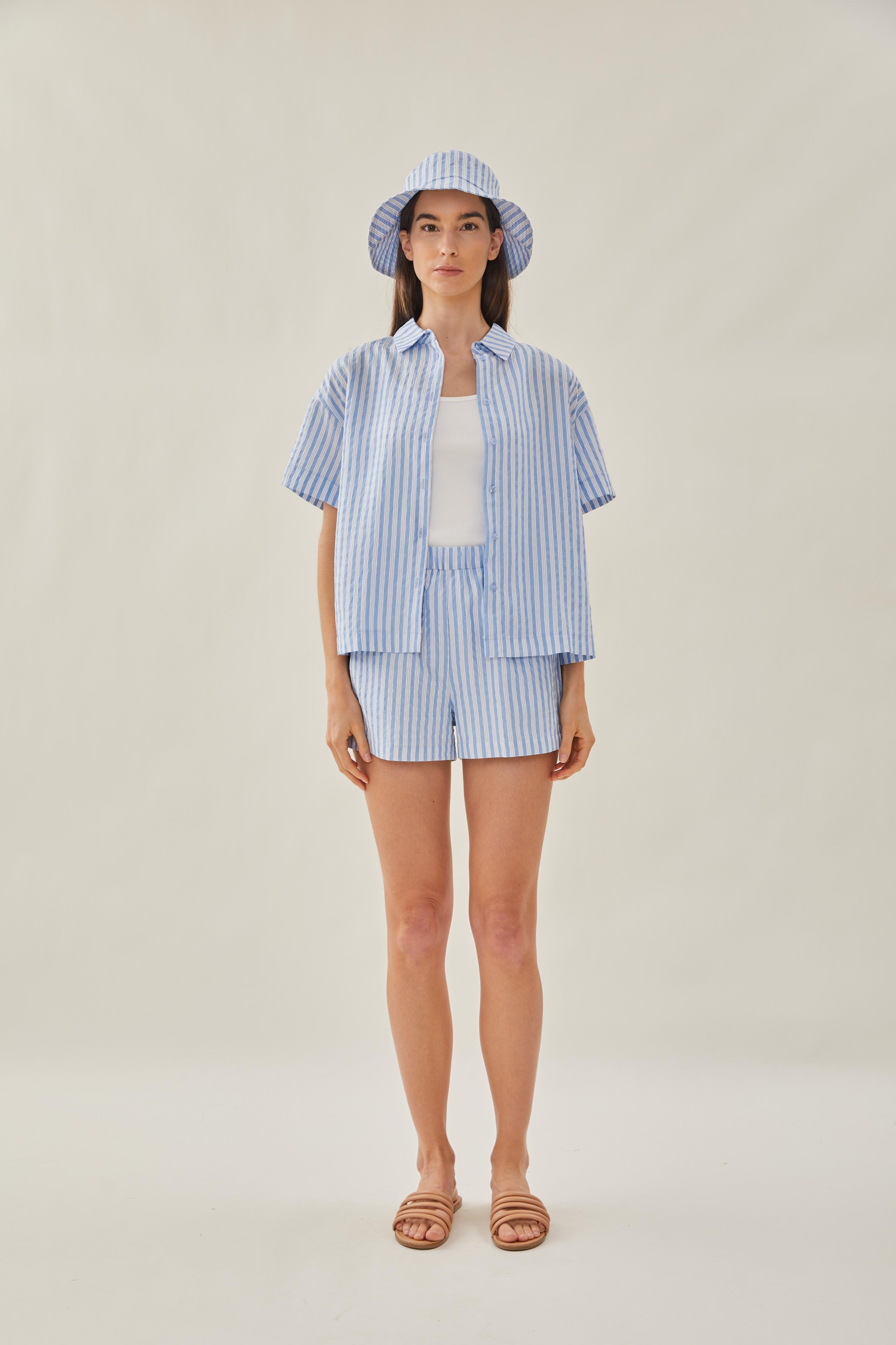 Collared Shirt in Stripe Blue