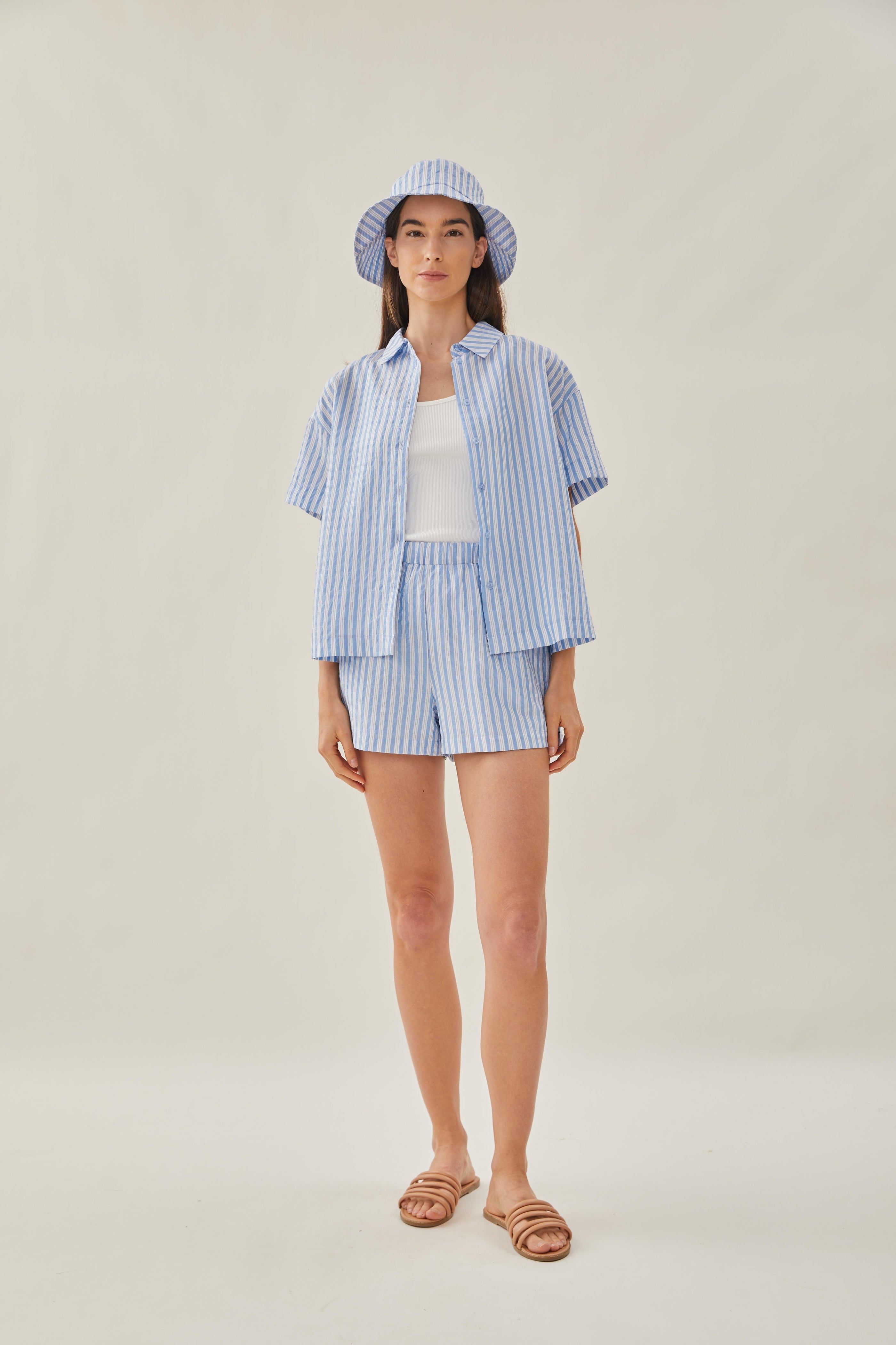 Collared Shirt in Stripe Blue