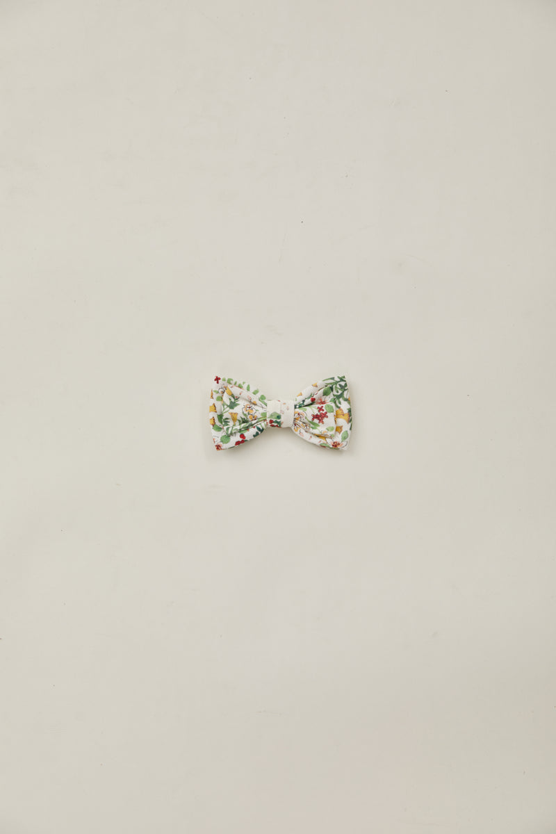 Bow Clip in Botany