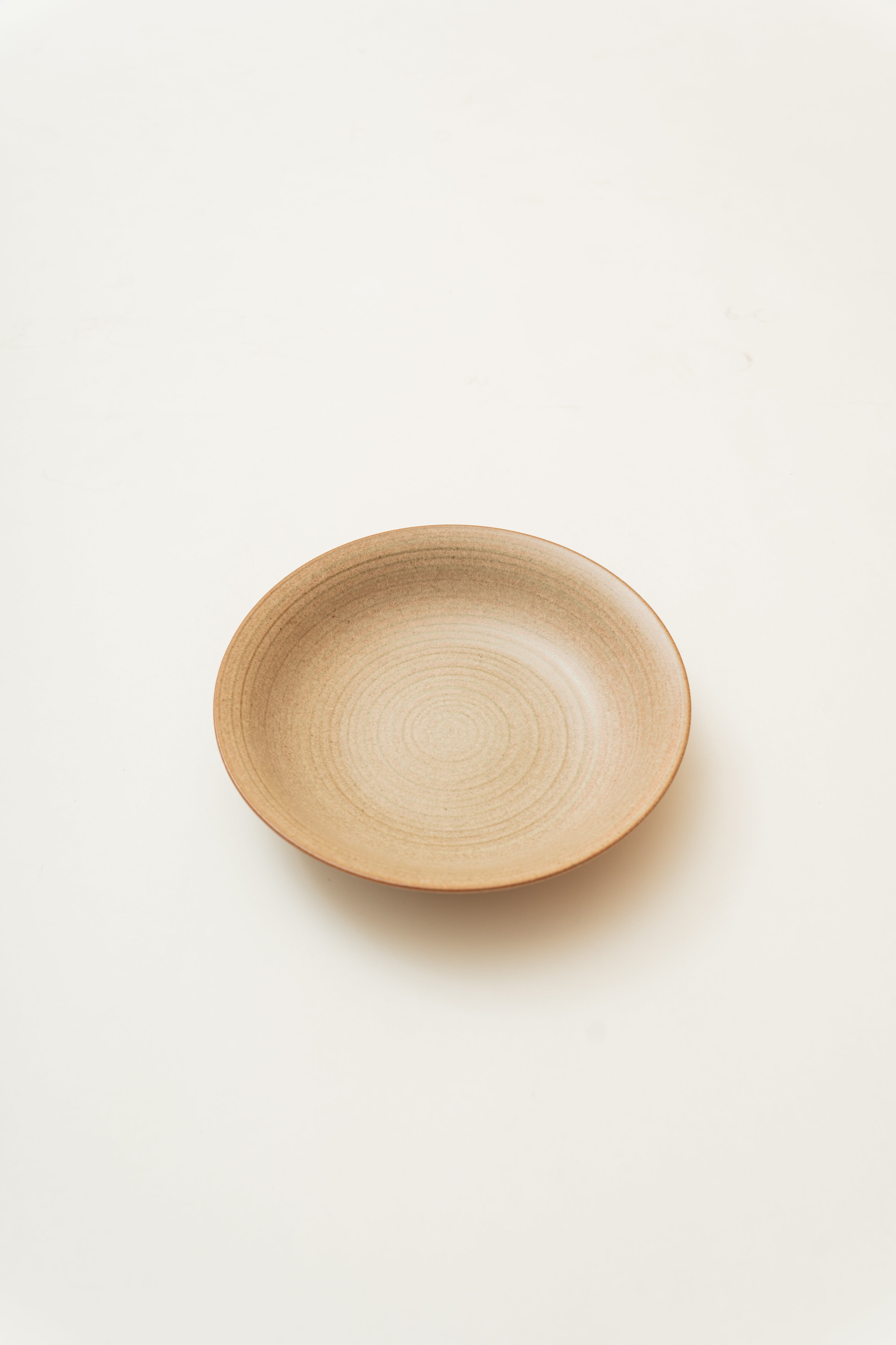 Earthenware Plate in Warm Stone