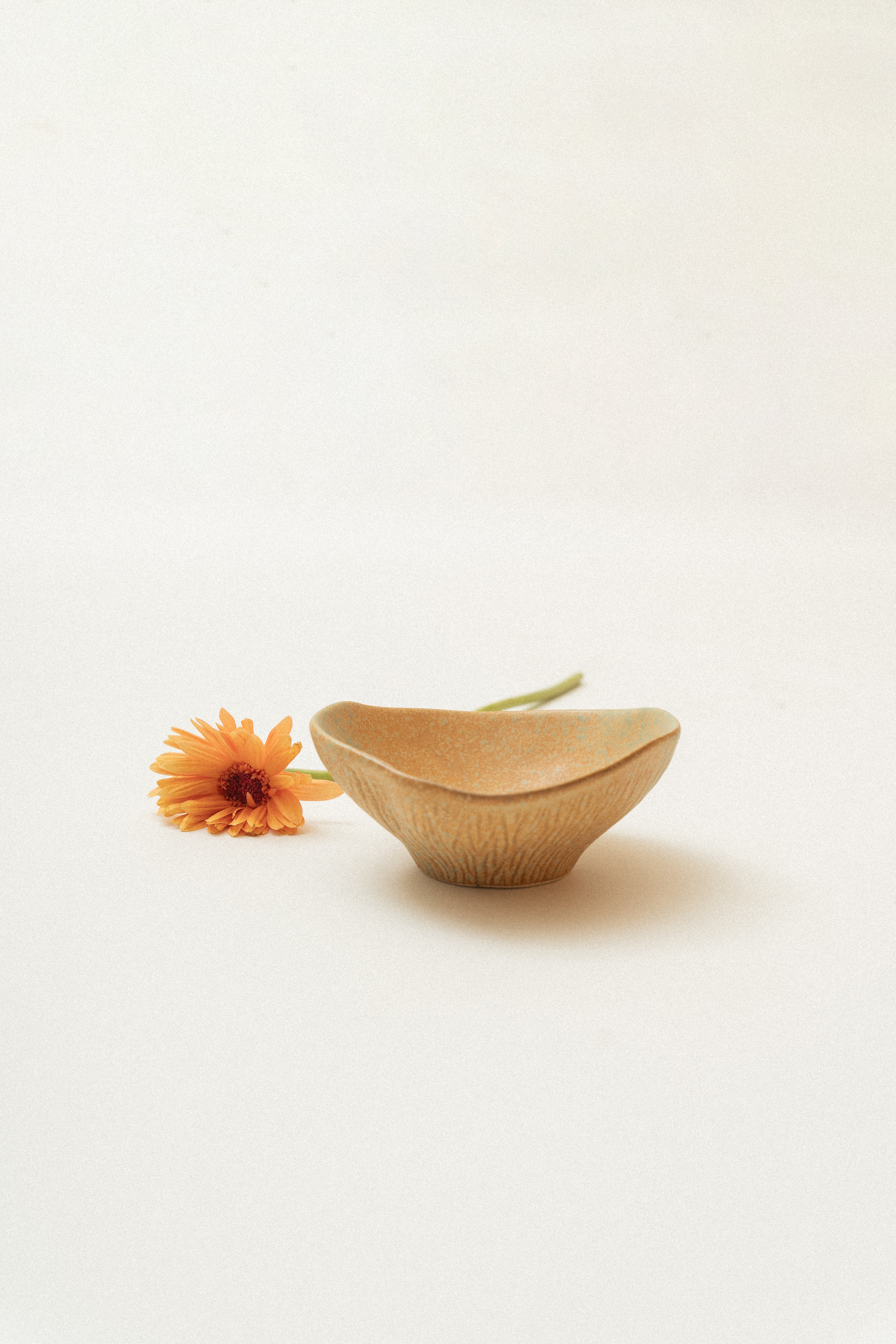 Fluted Bowl in Burnt Coastal Clay