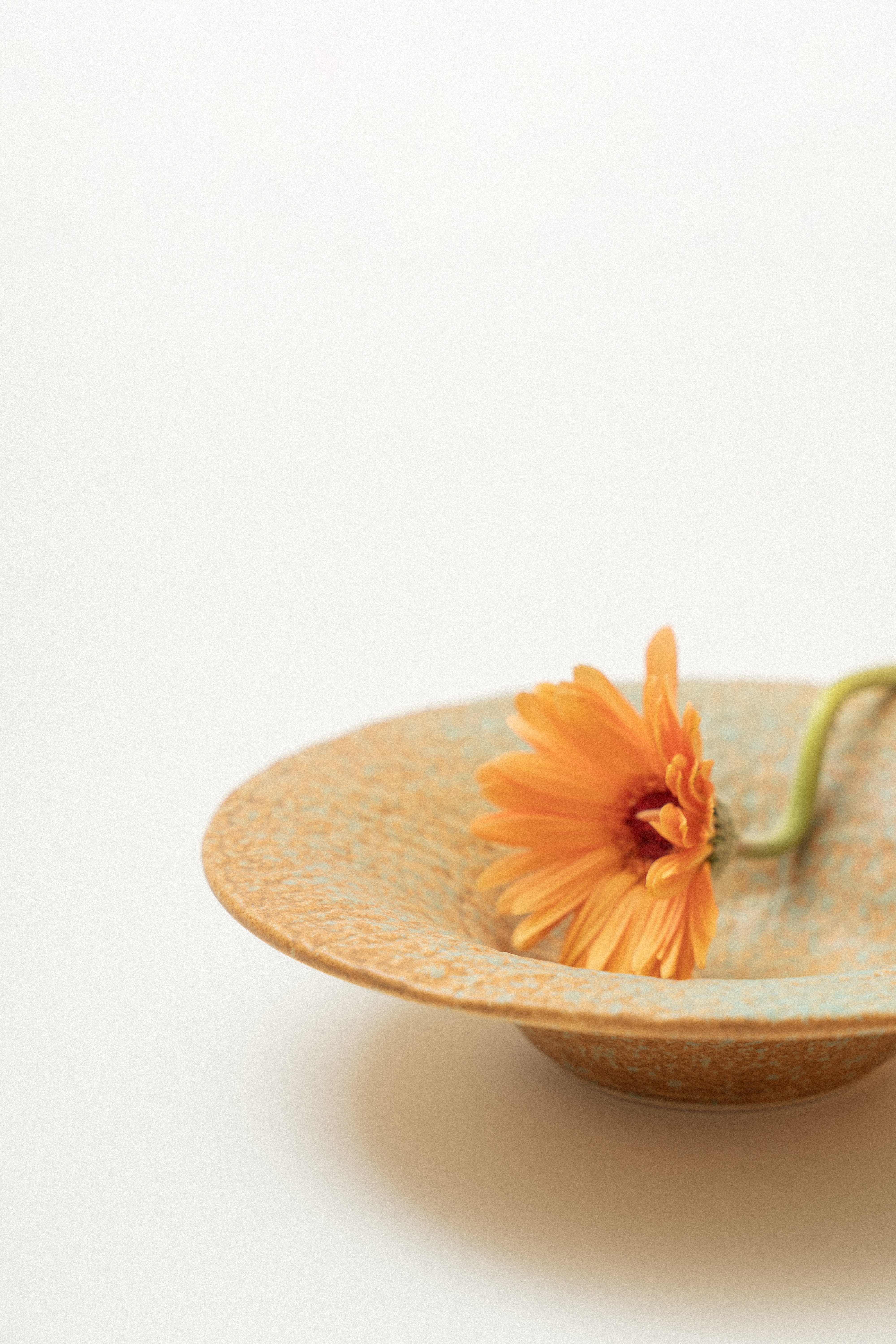 Deep Dish in Burnt Coastal Clay