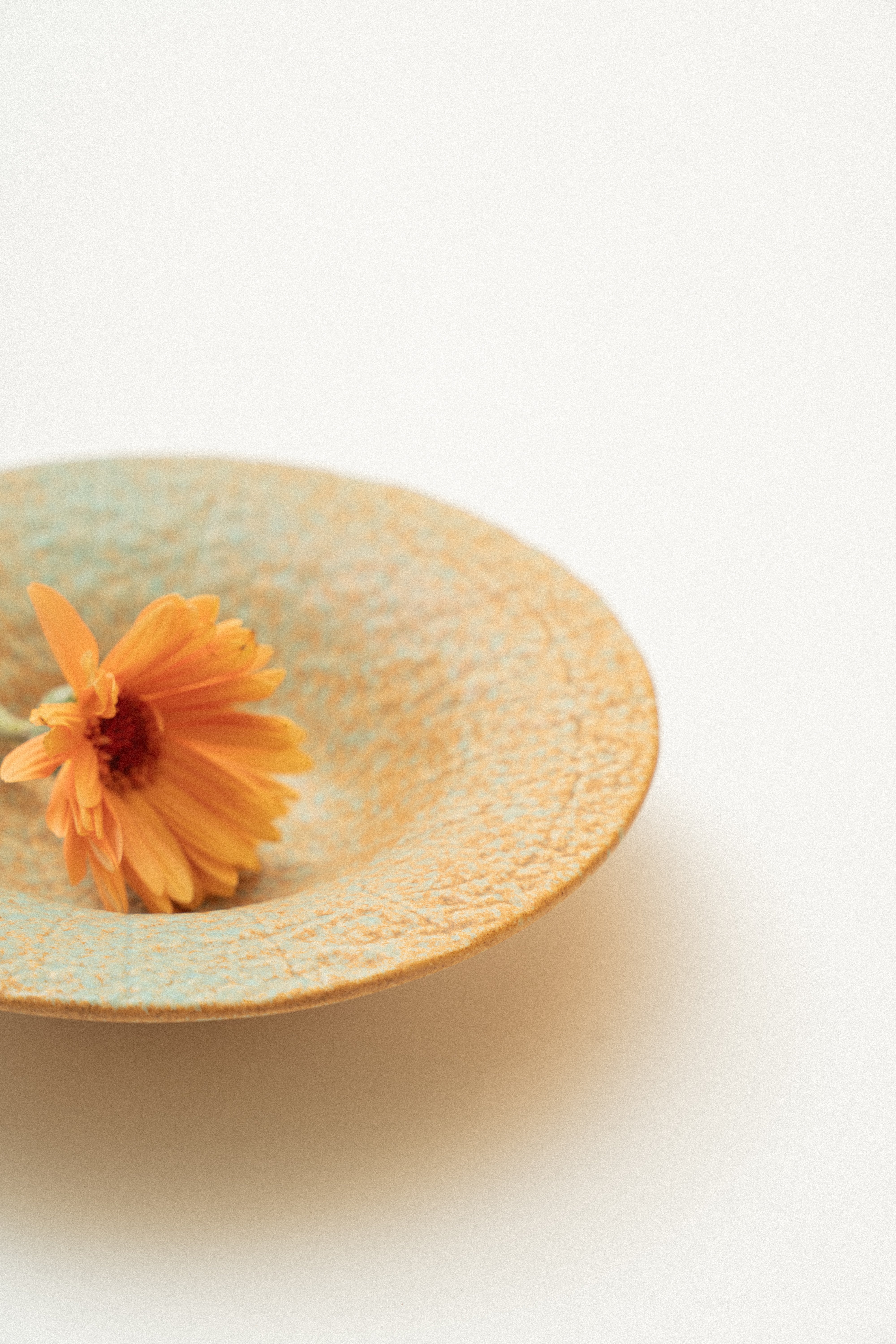 Deep Dish in Burnt Coastal Clay