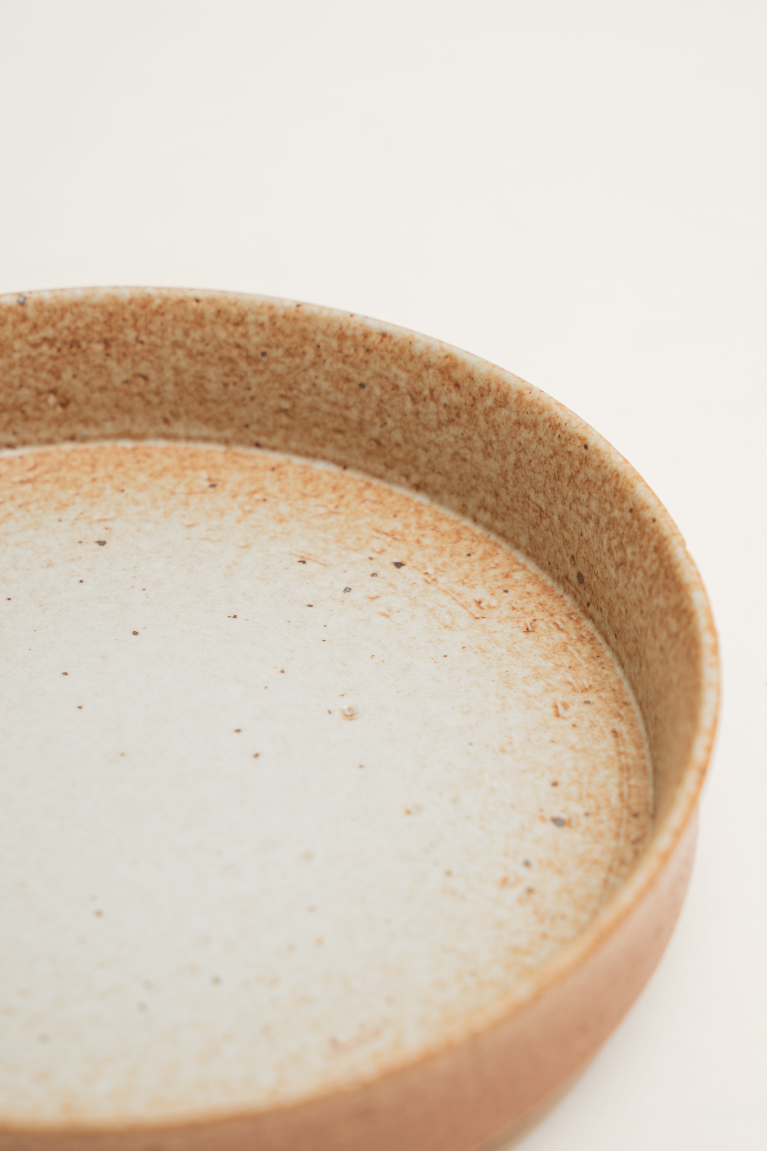 Earthenware Dinner Plate in Warm Stone